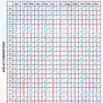 Baby Chinese Calendar 2024 In 2025 The Academic Calendar Will Begin