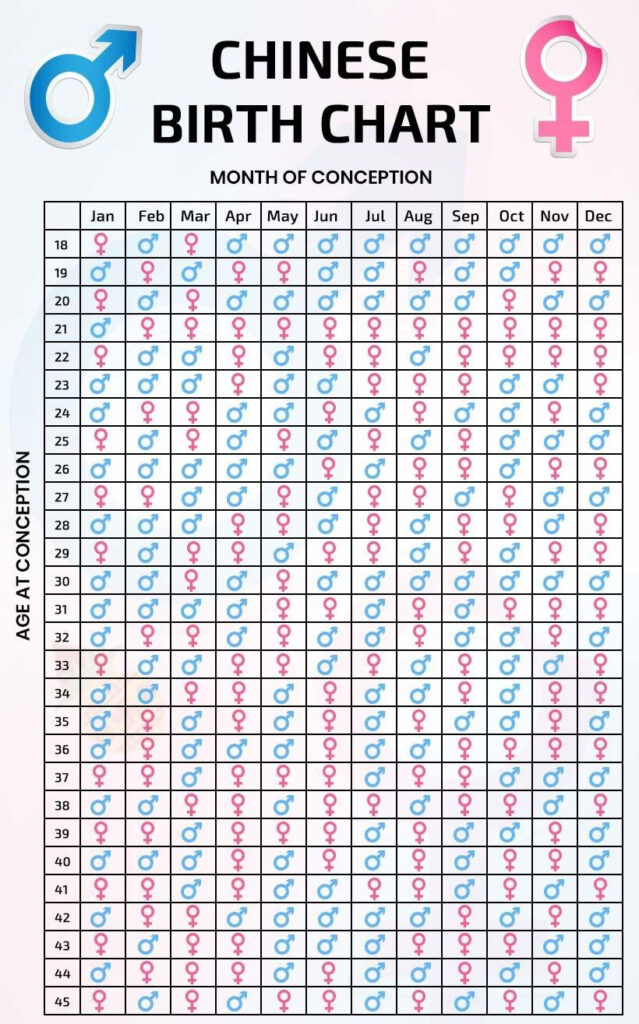 Baby Chinese Calendar 2024 In 2025 The Academic Calendar Will Begin 