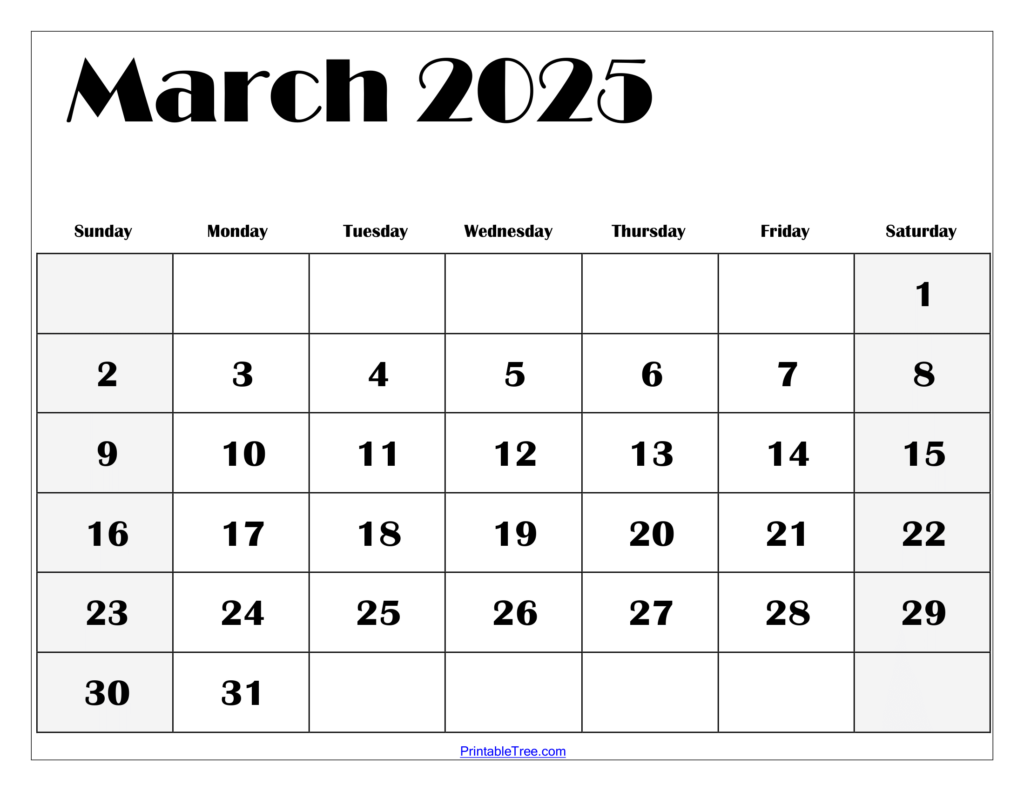 Blank March 2025 Calendar Printable Pdf 2025 Lexi Shayne