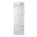 Bubble Wrap Calendar 2024 Ediva Gwyneth