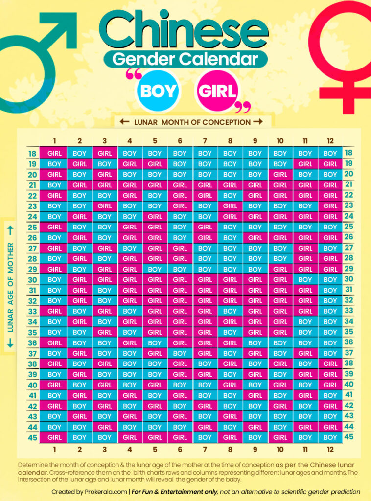 Chinese Calendar Baby Gender 2024 To 2025 Pdf In Hindi Adda Livvie