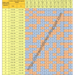 Chinese Calendar Baby Gender 2024 To 2025 Printable 2024 Word Searches
