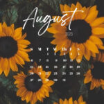 100 Printable August Calendar Ideas Free Calendars 2022 Shuteye Artofit
