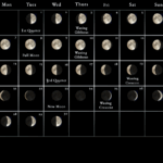 2022 Moon Calendar