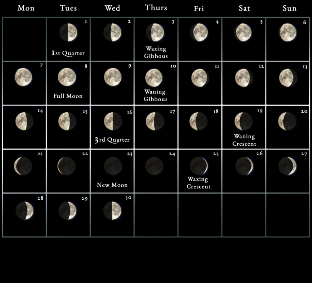 2022 Moon Calendar
