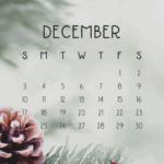 30 December 2023 Calendar IPhone Wallpapers WallpaperSafari