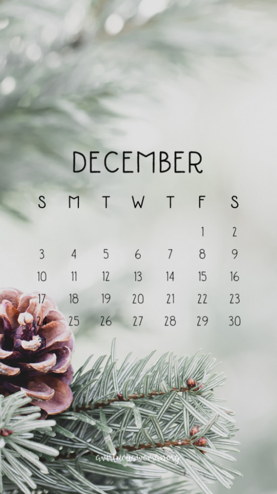  30 December 2023 Calendar IPhone Wallpapers WallpaperSafari