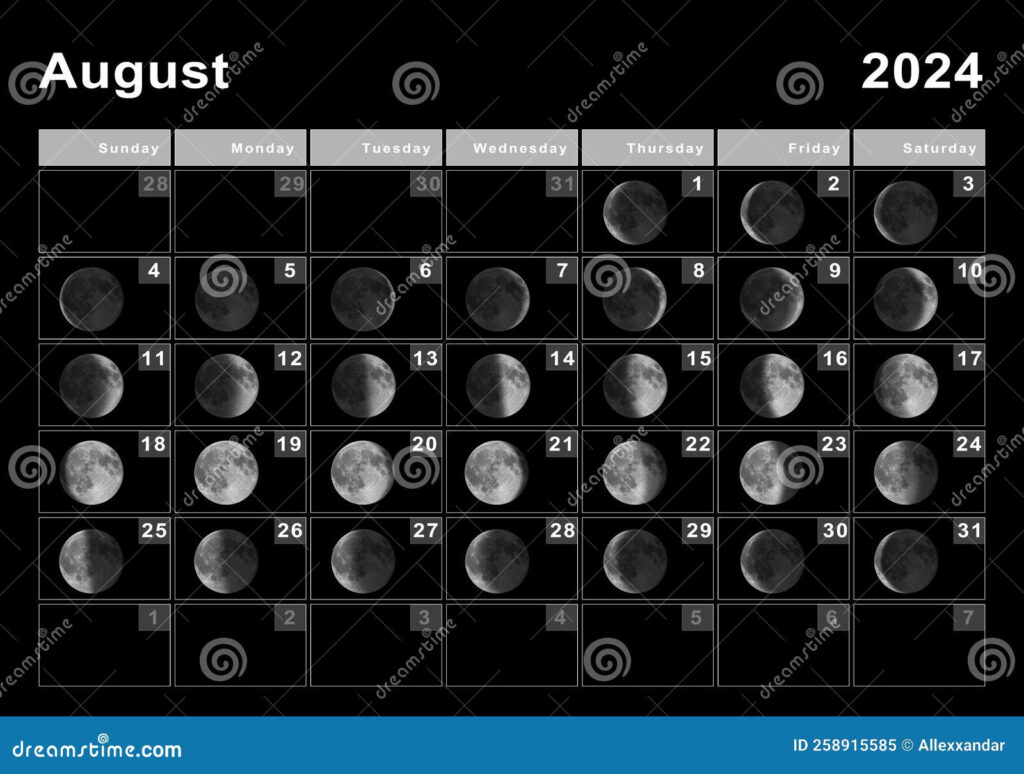 August 2024 Lunar Calendar Moon Cycles Stock Illustration 