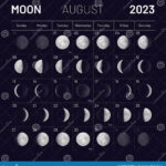August Lunar Calendar For 2023 Year Monthly Cycle Planner Stock Vector
