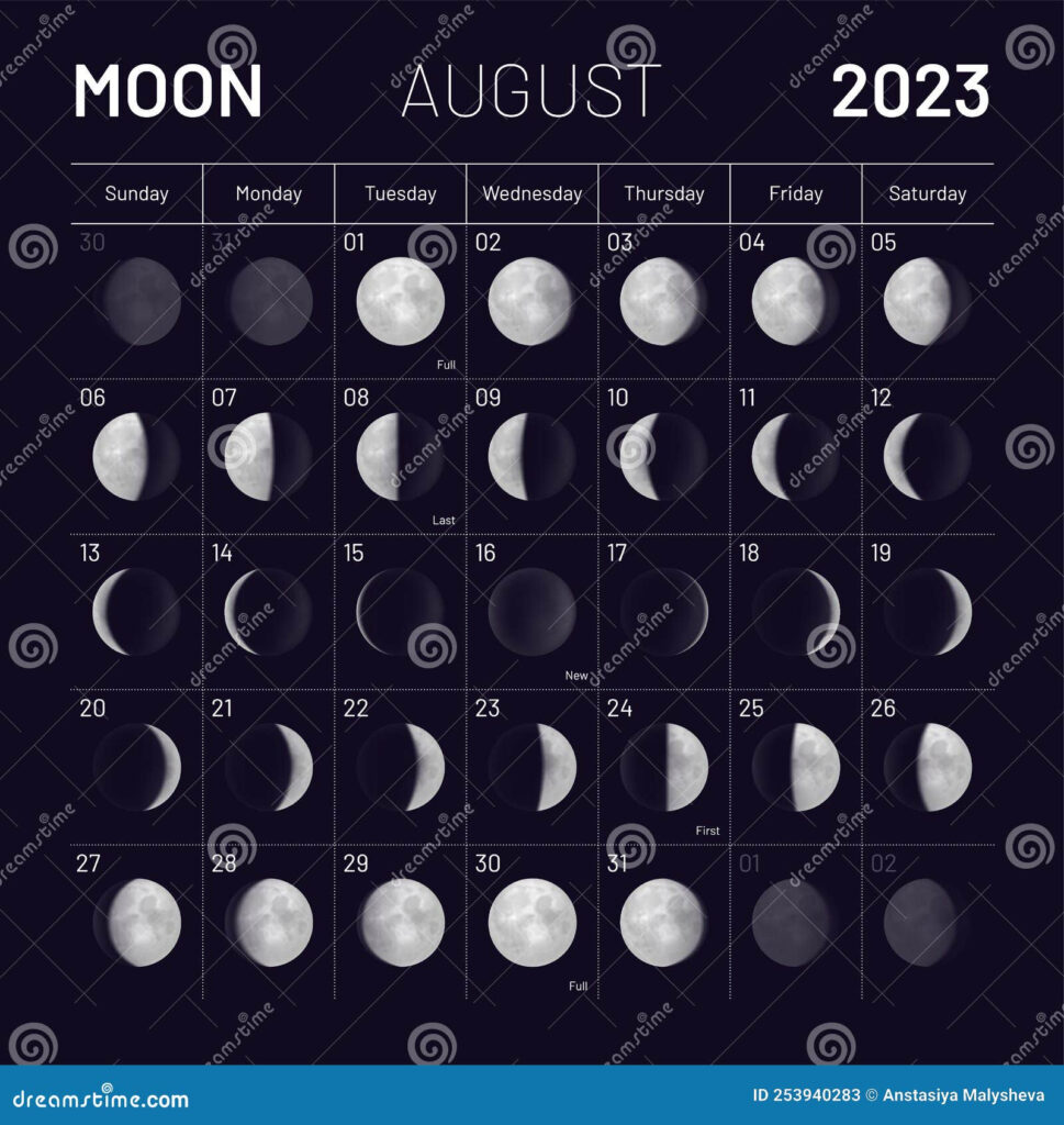 August Lunar Calendar For 2023 Year Monthly Cycle Planner Stock Vector 
