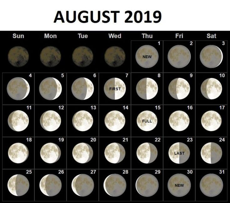 August Moon Phase Calendar Printable Word Searches