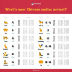 Chinese Zodiac Year Calendar