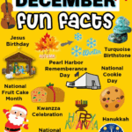 December Fun Facts Fun Facts Fun Facts For Kids Facts For Kids