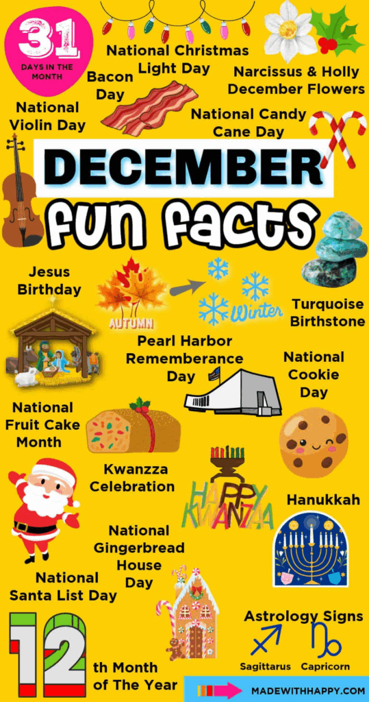 December Fun Facts Fun Facts Fun Facts For Kids Facts For Kids