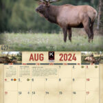 Deer Activity Calendar October 2024 Cassy Dalenna