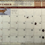 Deer And Deer Hunting Calendar Student Study Calendar