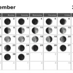 Full Moon Calendar December 2024 Sophi Rosalinde