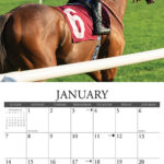 Horse Racing 2024 Wall Calendar By Willow Creek Press 9781549233944