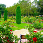 Julia Davis Park Event Calendar Printable And Enjoyable Learning