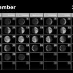 Lunar Calendar December 2024 Tani Zsazsa