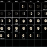 Moon August 2025 Ivy L Brown