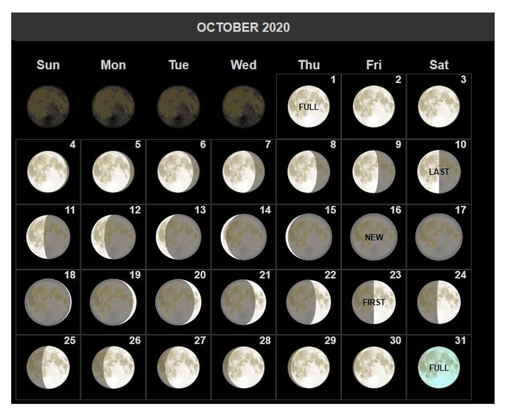 Moon Phase Calendar 2024 Subscription Calendar 2024