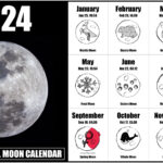 New Moon August 2025 Astrology King Charles E Stobie