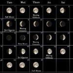 New Moon Calendar August Amalee Joanne
