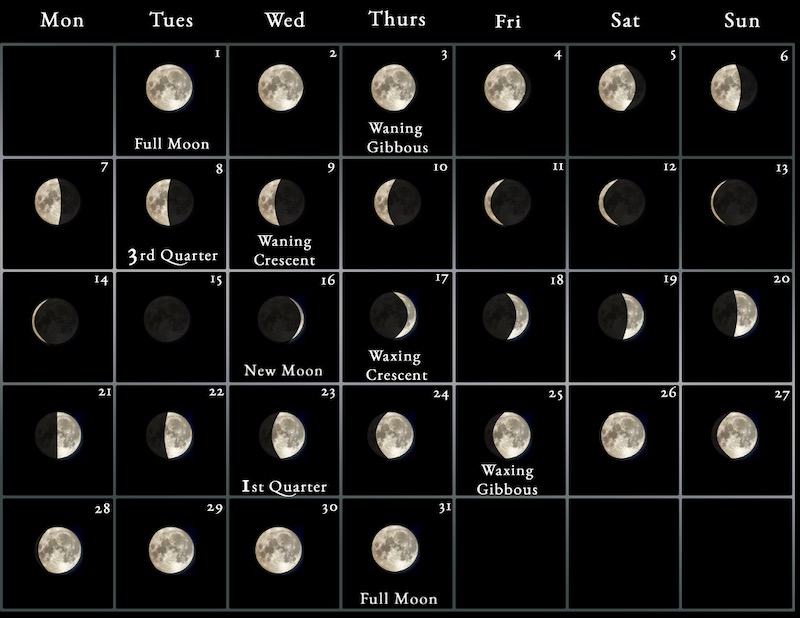 New Moon Calendar August Amalee Joanne