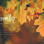 November Calendar Desktop Micky Susanne