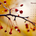 November Desktop Calendars