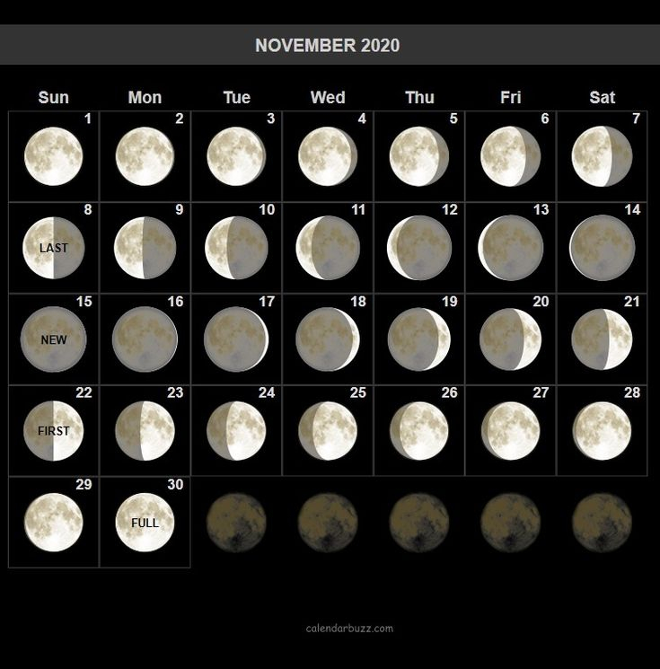 November Moon Calendar Printable Monthly Calendar