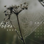 October 2023 Calendar Wallpapers Top Free October 2023 Calendar