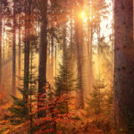 September Calendar Wallpaper 38 Best Desktop Phone Backgrounds